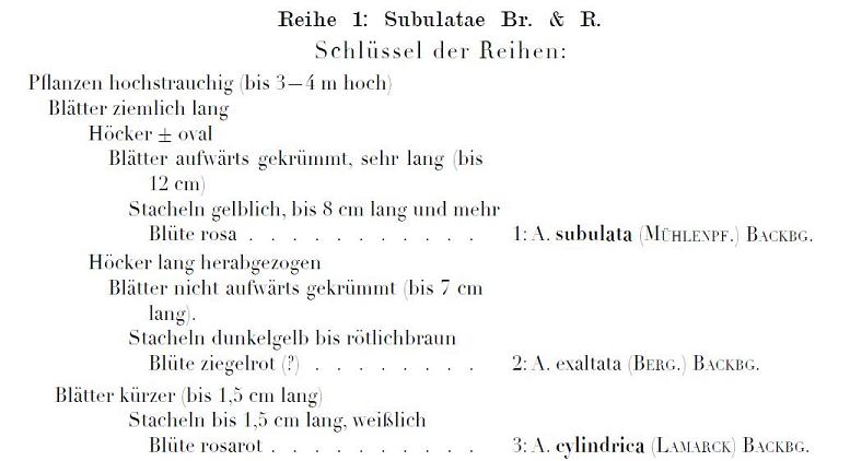 da:Backeberg C., 1958, Die Cactaceae, p. 138