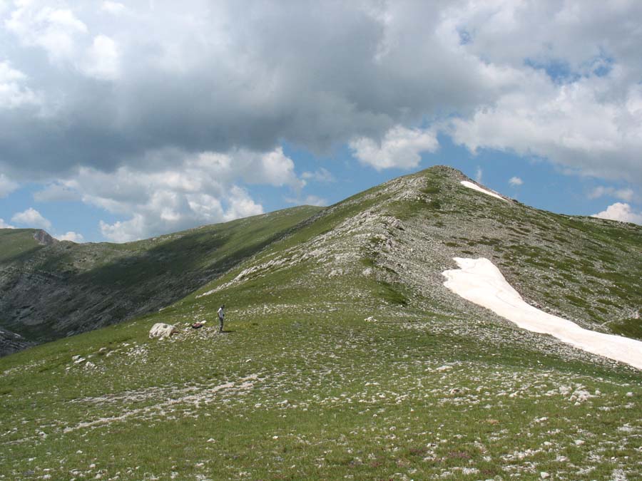 Monti della Magnola (25).jpg