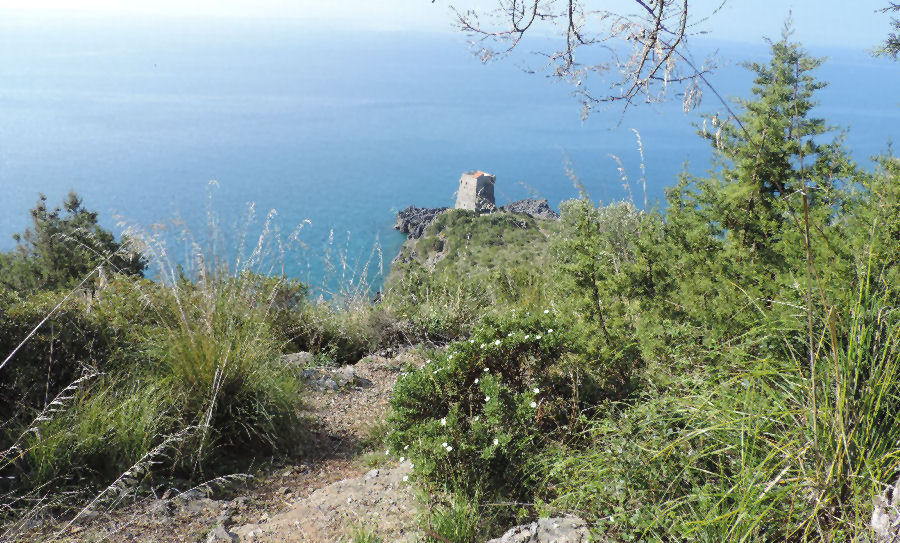 Punta Zancale e torre 2015416_071.jpg